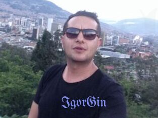 IgorGin