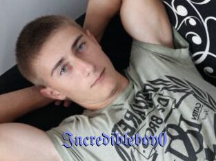 Incredibleboy0