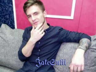 JakeSulii