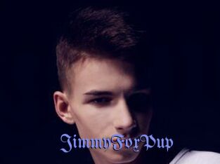 JimmyFoxPup