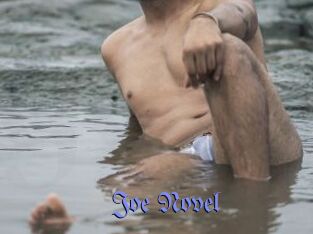 Joe_Novel