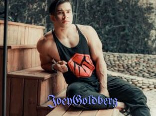 JoeyGoldberg