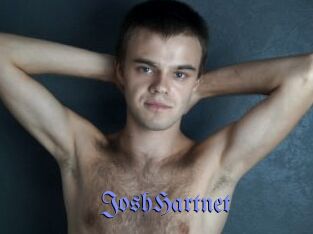 JoshHartnet