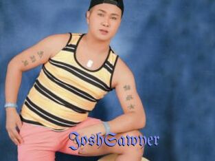 JoshSawyer