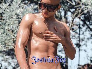 JoshuaFox