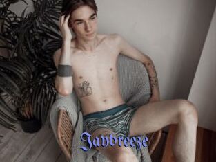 Jaybreeze