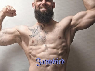 Jayybird
