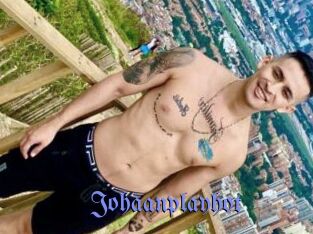 Johaanplayhot