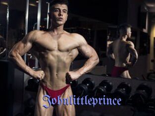 Johnlittleprince