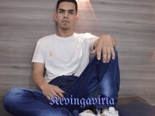 Kevingaviria