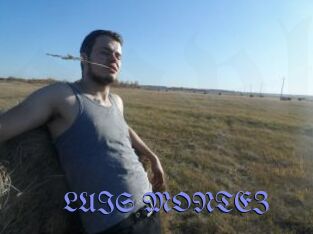 LUIS_MONTEZ