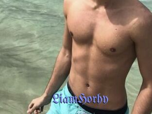 LiamHorhy