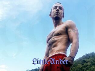 LittleAnder