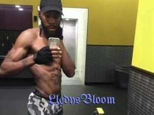 Lledys_Bloom