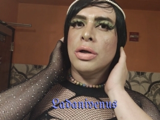 Ladanivenus