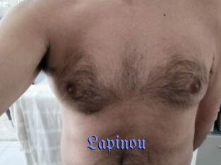 Lapinou