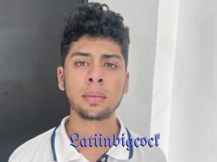 Latiinbigcock