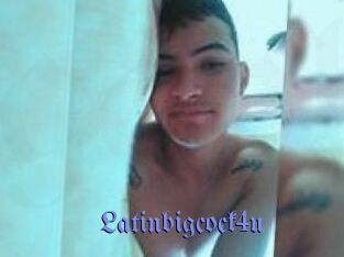 Latinbigcock4u