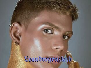 Leandrogonzlezh