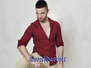 Leonidascolt