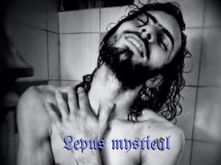 Lepus_mystical