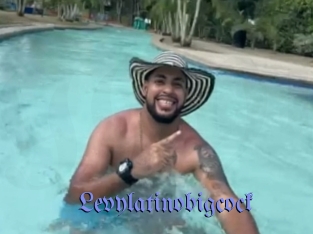 Levylatinobigcock