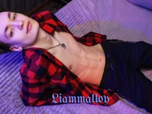 liammalloy Gay Buzz