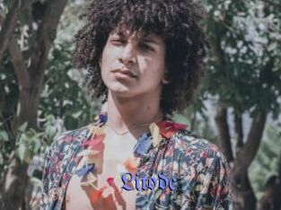 Litodc