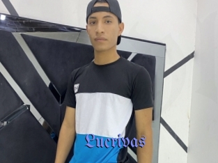 Lucrivas
