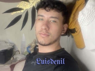 luisdenil Gay Buzz