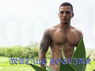 MATIUS_COSLINK