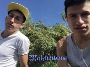 Malehotboys