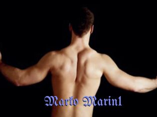 Marko_Marin1