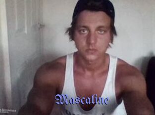 Mascaline Gay Buzz