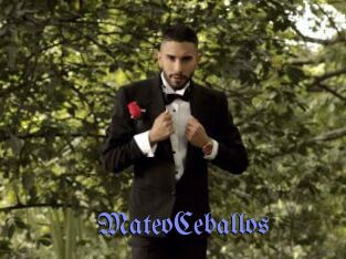 MateoCeballos
