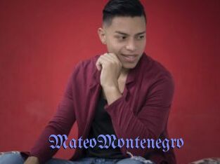 MateoMontenegro