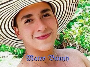 Mateo_Bunny