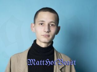 MattHotBeast
