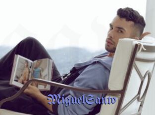 MiguelSanto