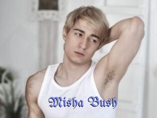 Misha_Bush