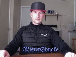 MisterShnake