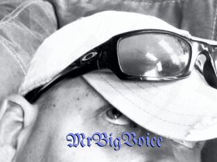 MrBigVoice