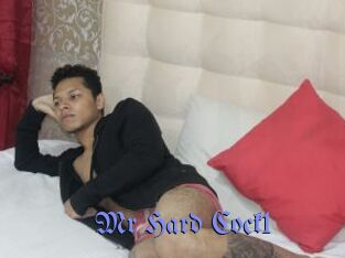 Mr_Hard_Cock1
