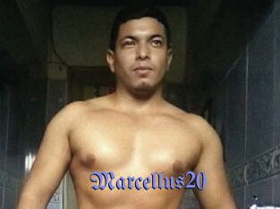 Marcellus20