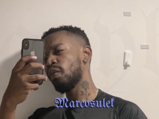 Marcosulek