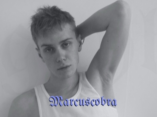 Marcuscobra