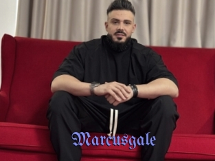 marcusgale Gay Buzz