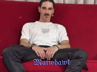Mariohawk