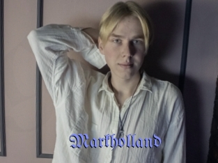 markholland Gay Buzz