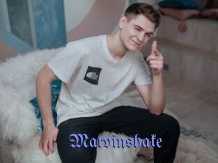 Marvinshake